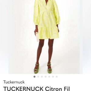 Tuckernuck Citron Fil Coupe Dress